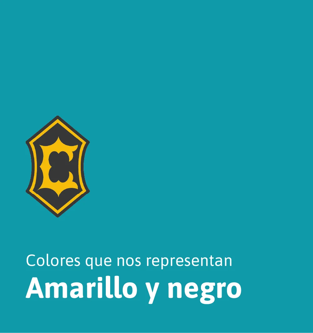 2025_STG_DG_WebGalerias_Nosotros_Casas_V1_CUTTS_D_COLL