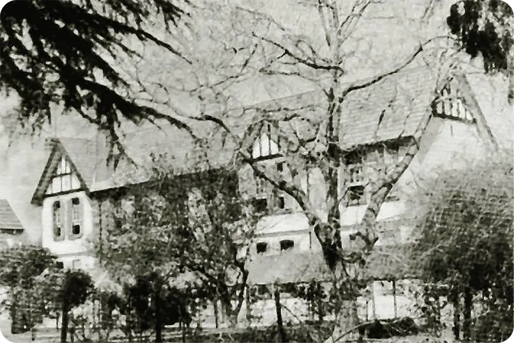 2025_STG_DG_WebGalerias_Nosotros_HitosLinea_V1_1919