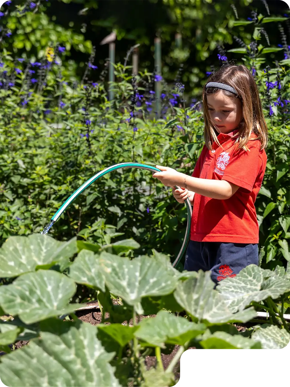 2025_STG_DG_WebGalerias_VidaEscolar_3Niveles_GaleriaJardín_V1-04