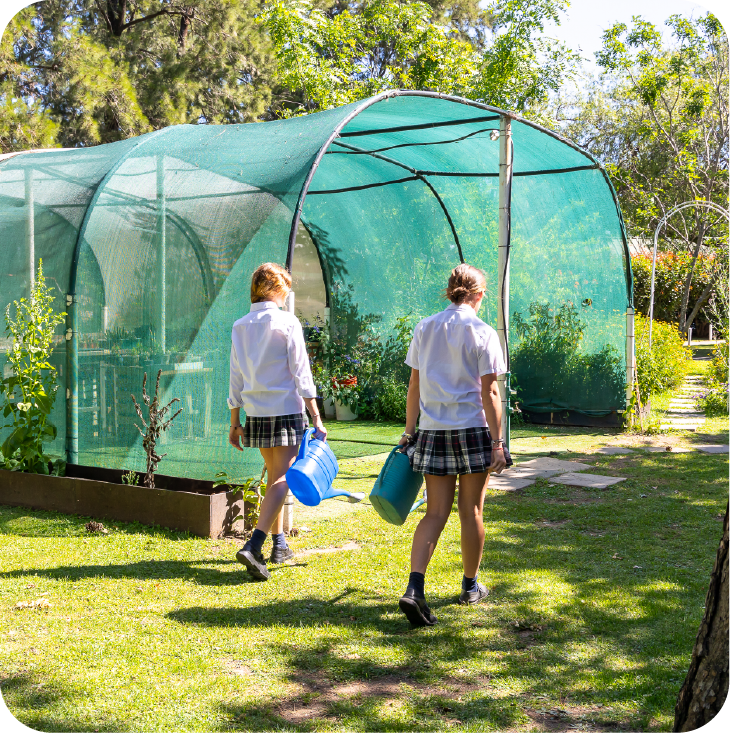 2025_STG_DG_WebGalerias_VidaEscolar_PilaresCards_V1-02