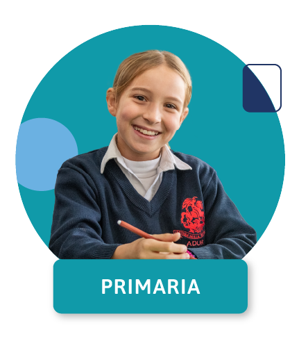 Mesa de trabajo 17 copia