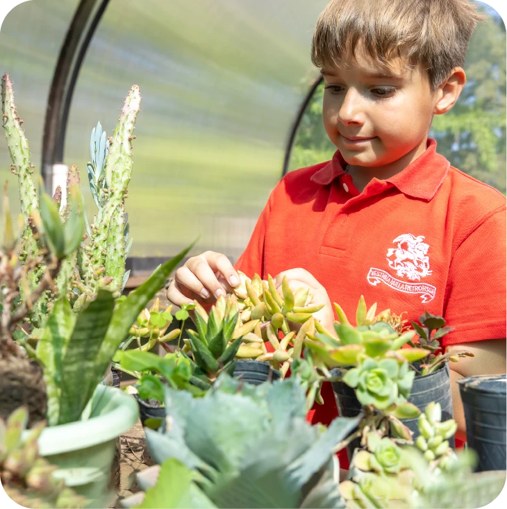 2025_STG_DG_VidaEscolar_3Niveles_CardsPrimaria_V1_(sustent)-06