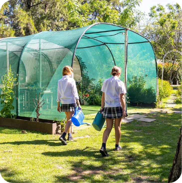 2025_STG_DG_VidaEscolar_3Niveles_CardsSecundaria_V1_(sustenta)-07