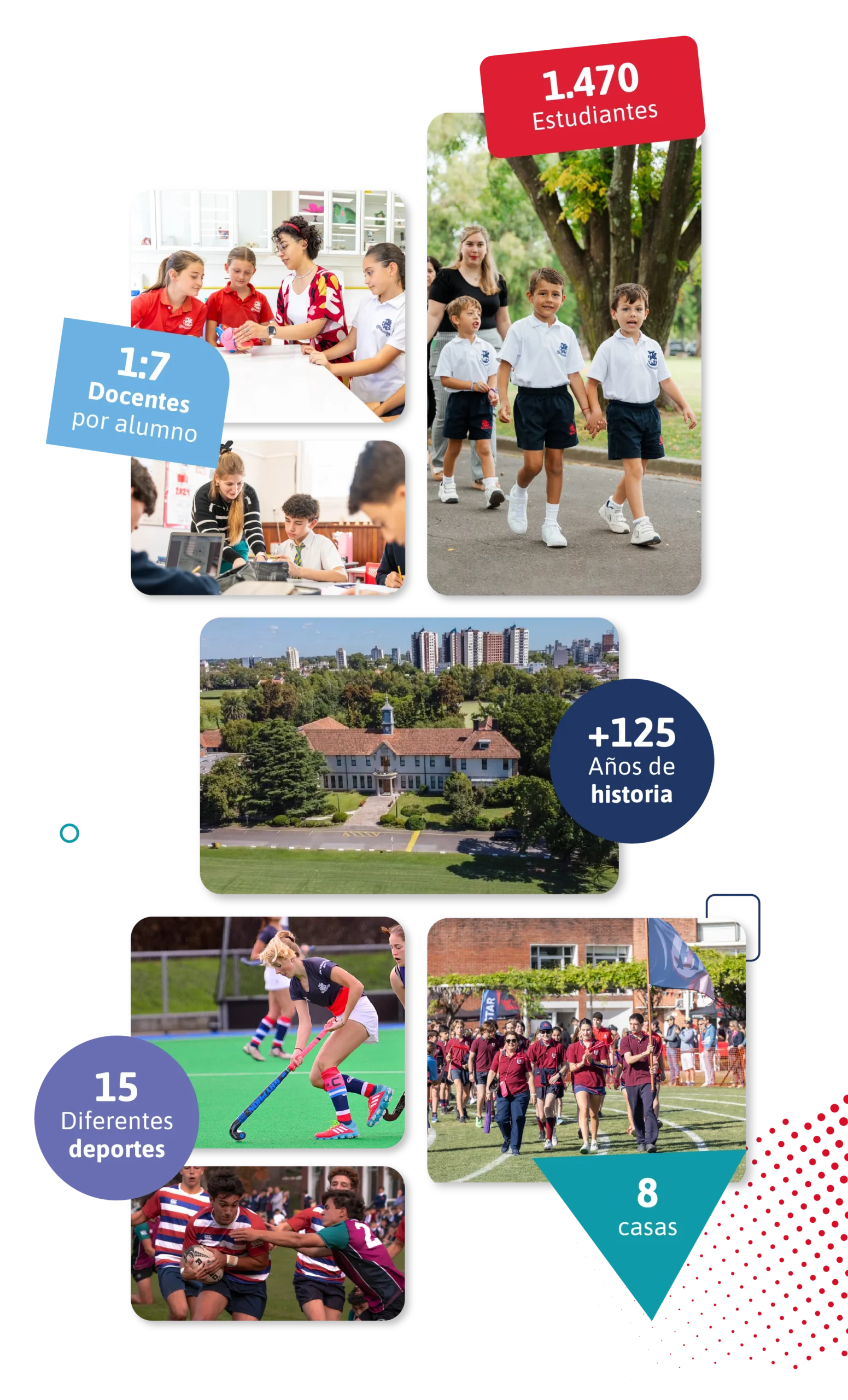 2025_STG_DG_WebGalerias_Home_InfografiaMobile_V1_InfografiaMobile