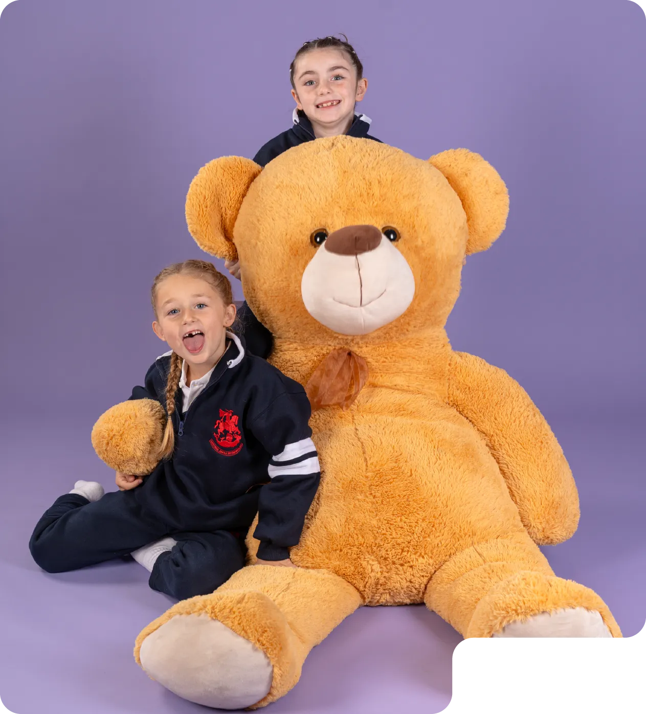 2025_STG_DG_LandingCampania_NivelesPrimaria_V1-03